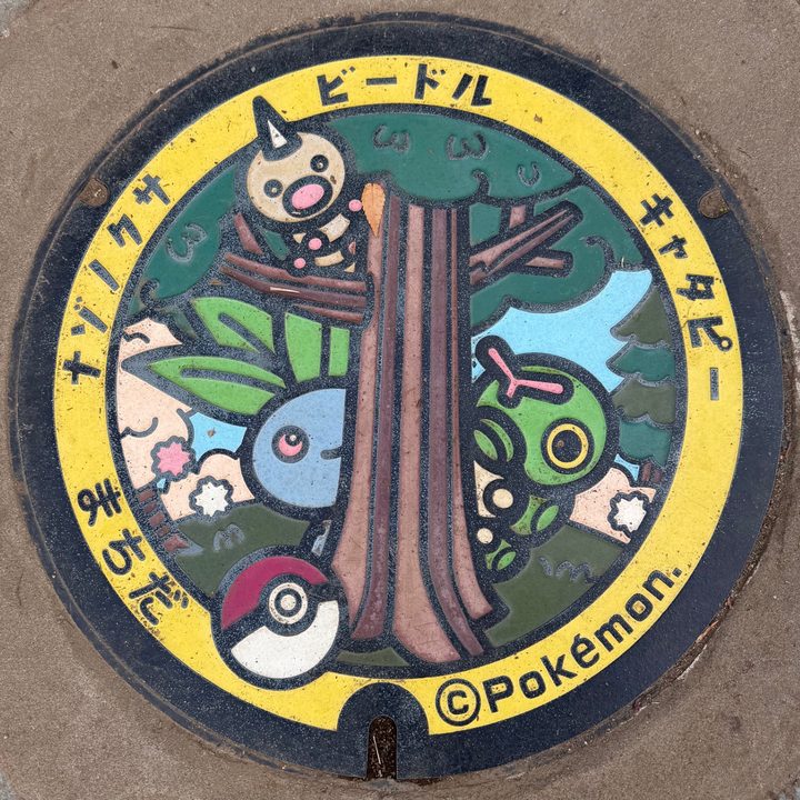 町田市（キャタピー・ナゾノクサ・ビードル）のポケふたの写真