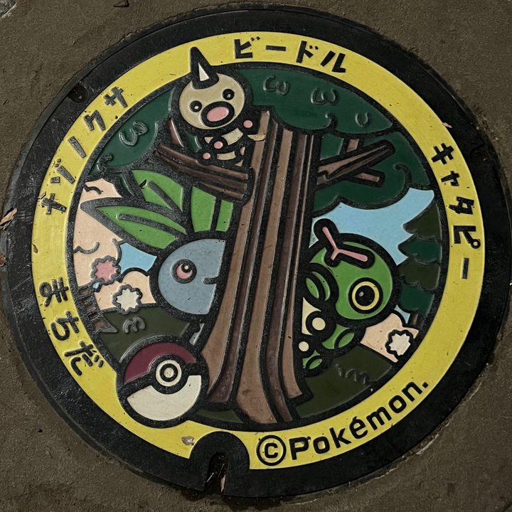 町田市（キャタピー・ナゾノクサ・ビードル）のポケふたの写真