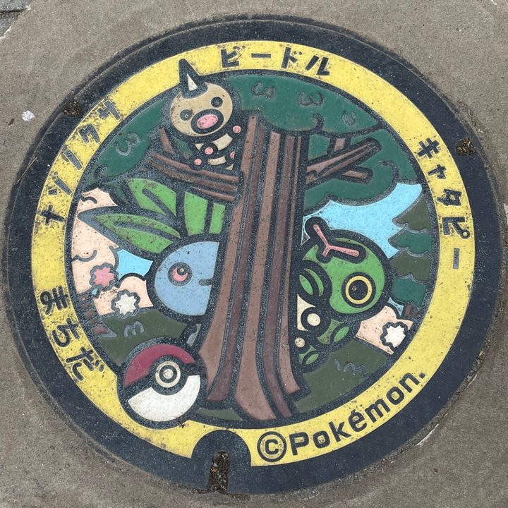町田市（キャタピー・ナゾノクサ・ビードル）のポケふたの写真