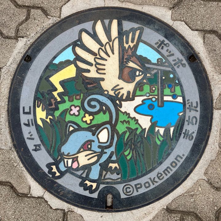 町田市（コラッタ・ポッポ）のポケふたの写真
