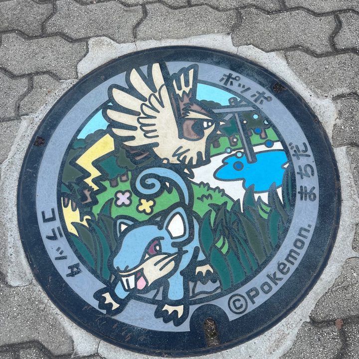 東京都町田のポケふた（コラッタ・ポッポ）の写真