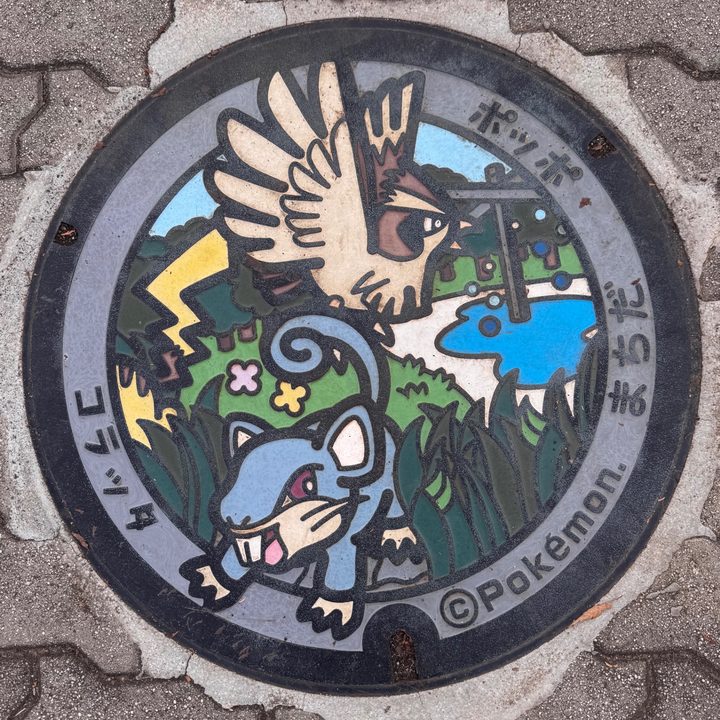 町田市（コラッタ・ポッポ）のポケふたの写真