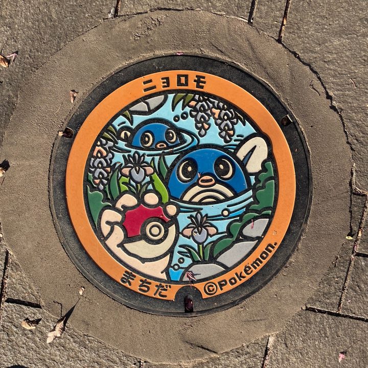 町田市（ニョロモ）のポケふたの写真
