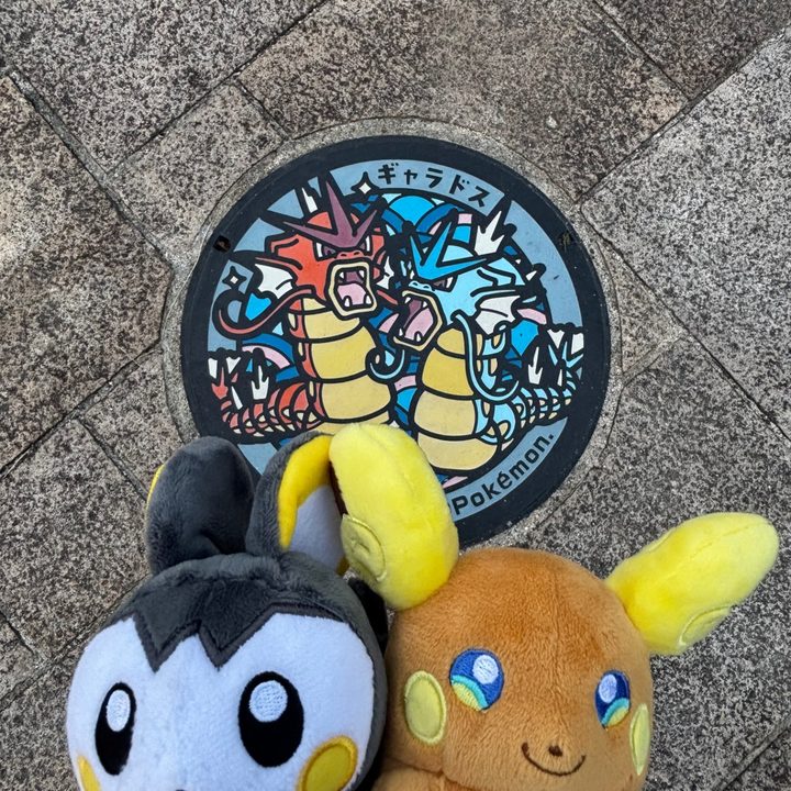 滋賀県大津のポケふた（ギャラドス）の写真