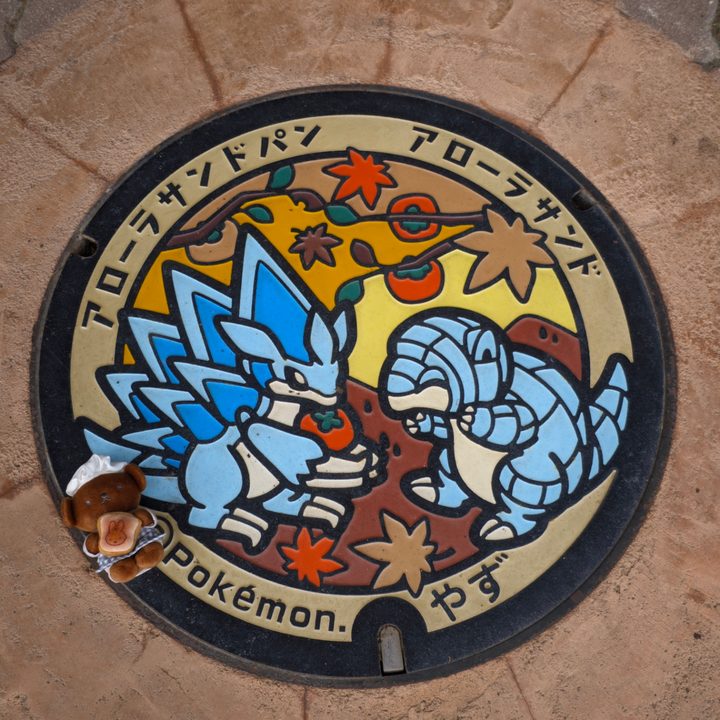 鳥取県八頭のポケふた（アローラサンド・アローラサンドパン）の写真