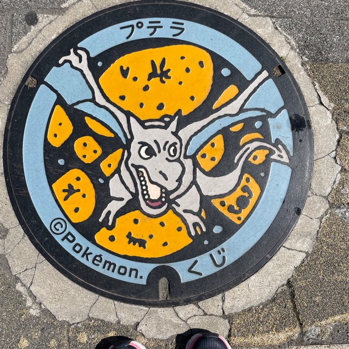 岩手県久慈のポケふた（プテラ）の写真