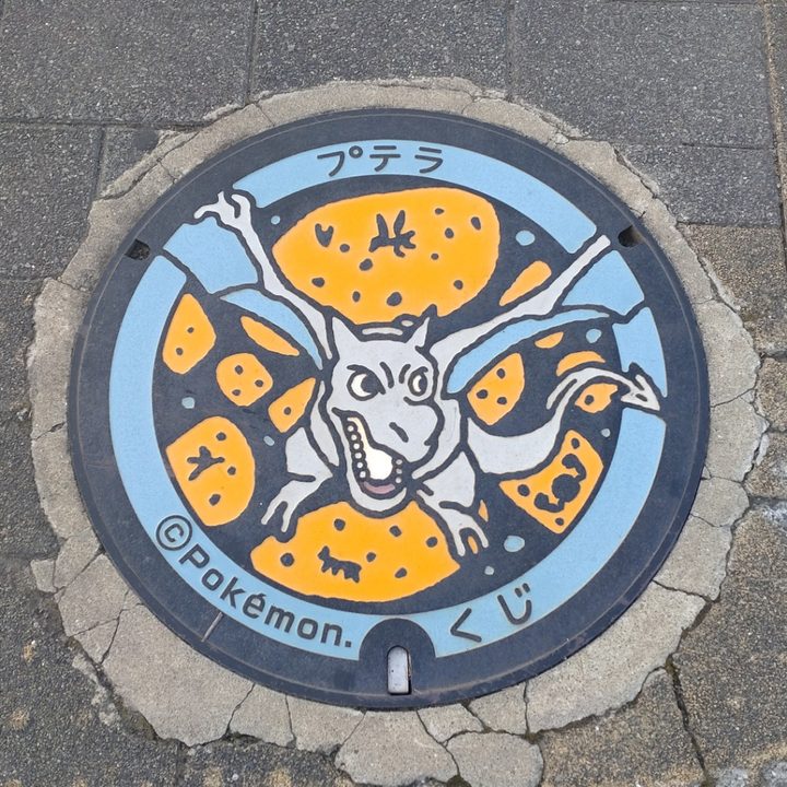 久慈市 道の駅くじのポケふた（プテラ）の写真