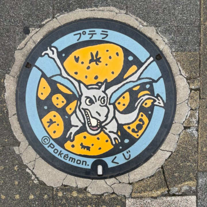 久慈市 道の駅くじのポケふた（プテラ）の写真