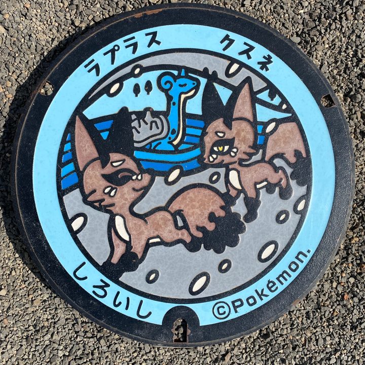 宮城県白石のポケふた（クスネ・ラプラス）の写真