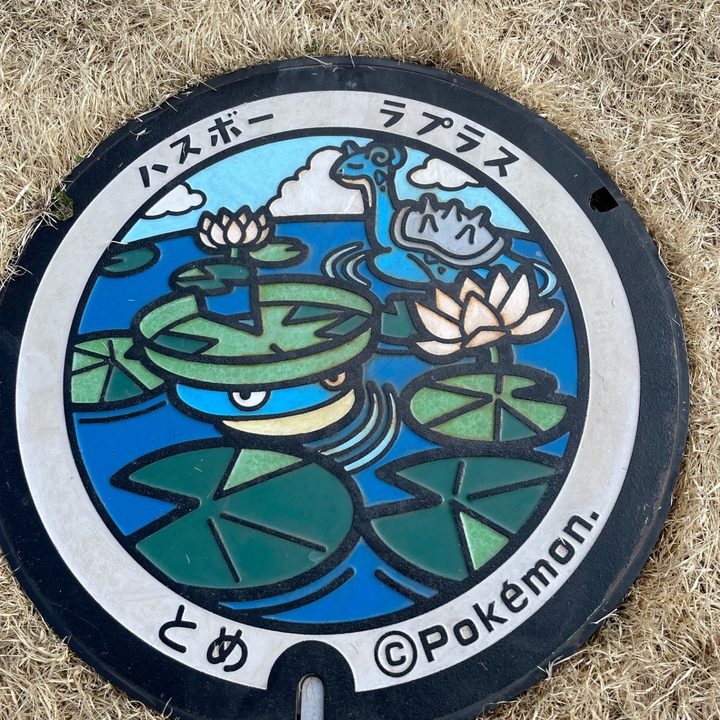 宮城県登米のポケふた（ハスボー・ラプラス）の写真