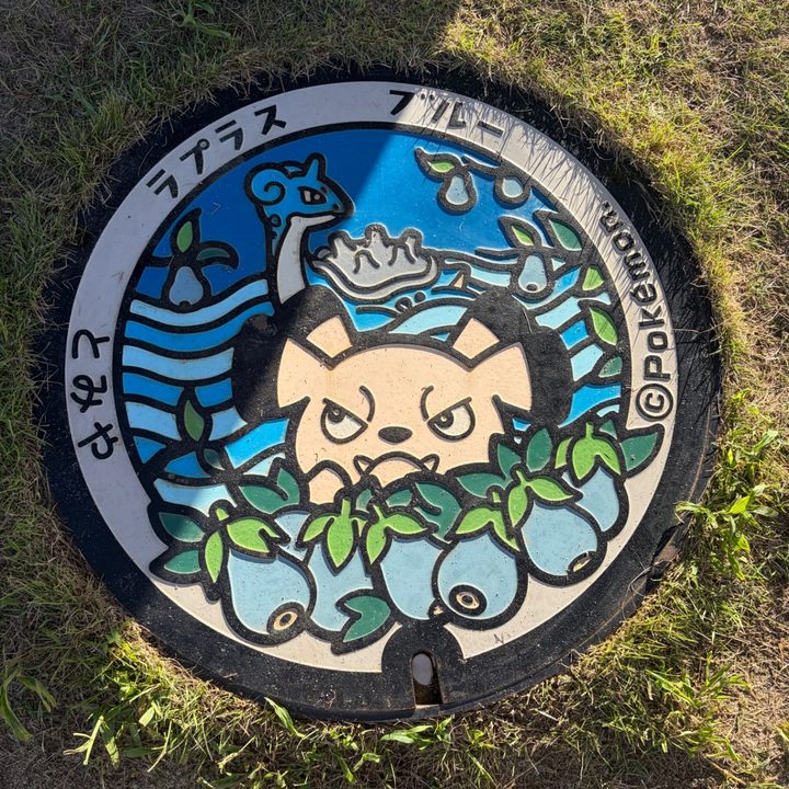 宮城県/富谷市のポケふた（ブルー・ラプラス）の写真