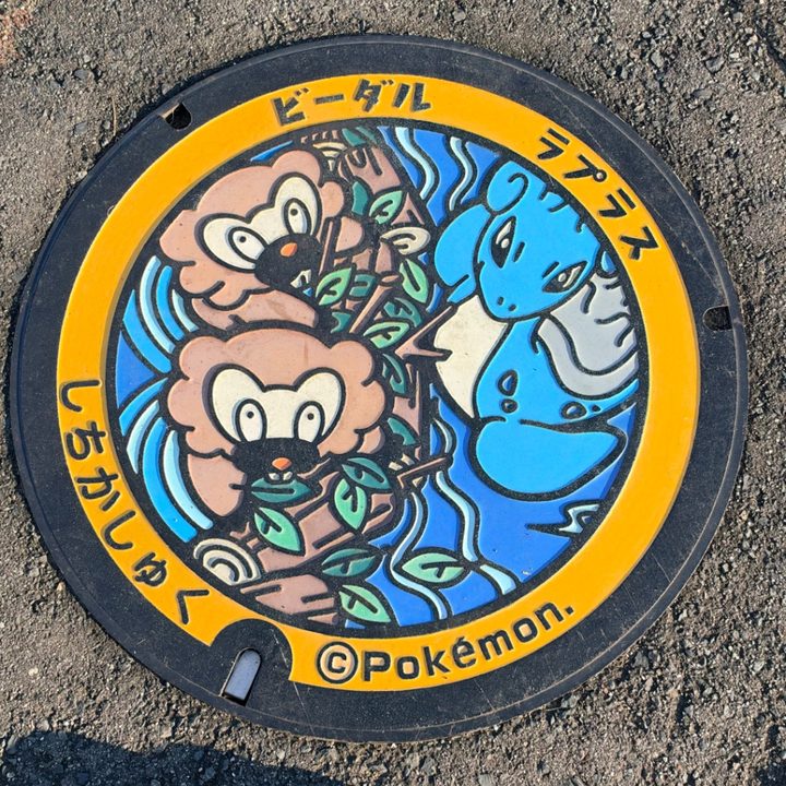 Photo of the Bibarel, Lapras Poké Lid in Shichikashuku