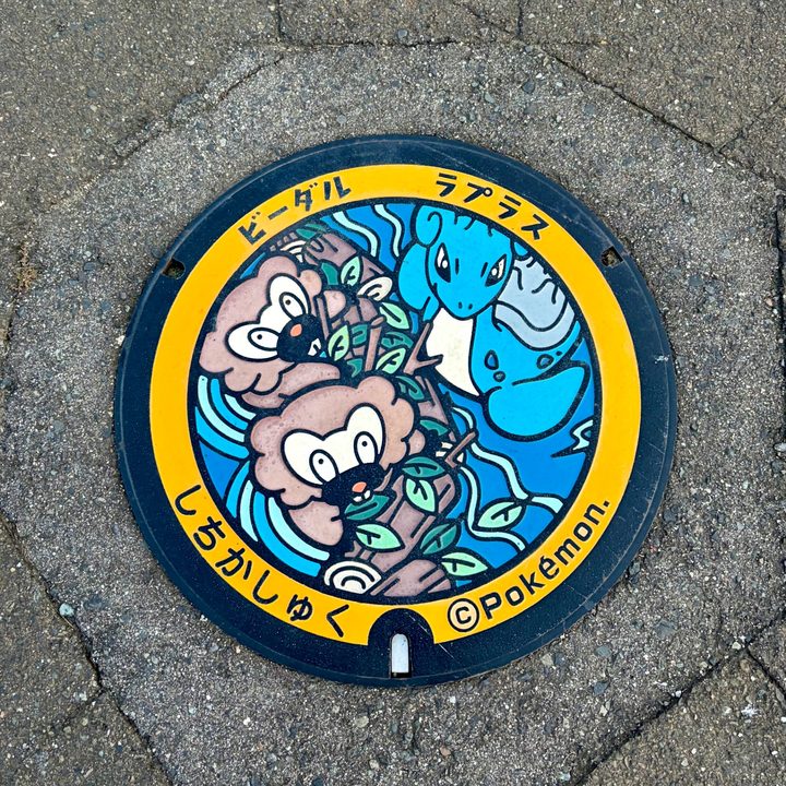 宮城県七ヶ宿のポケふた（ビーダル・ラプラス）の写真
