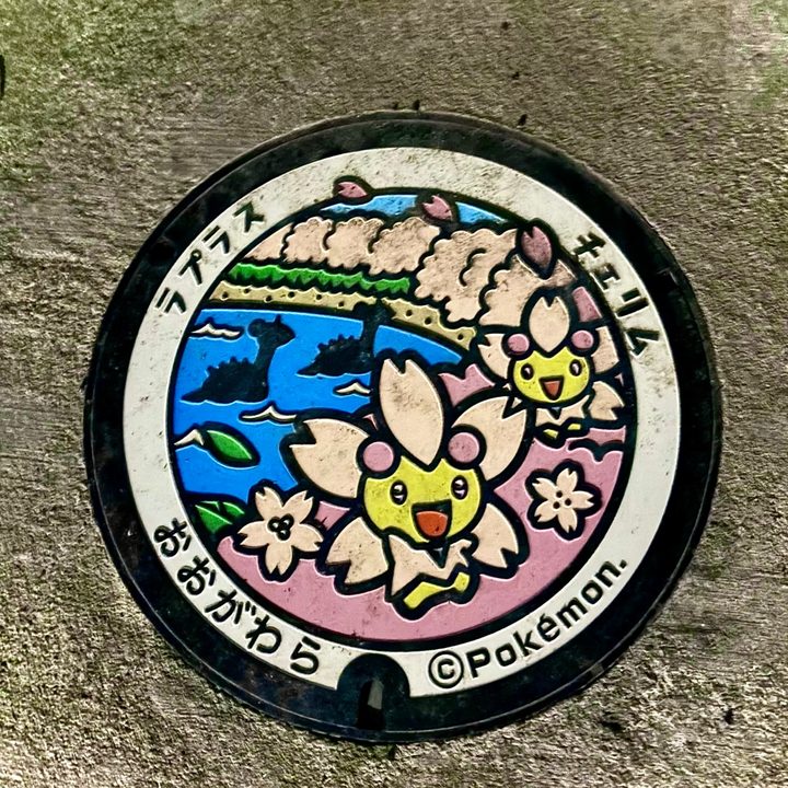 宮城県大河原のポケふた（チェリム・ラプラス）の写真