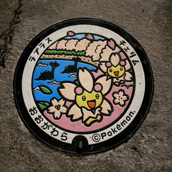 宮城県/大河原町のポケふた（チェリム・ラプラス）の写真