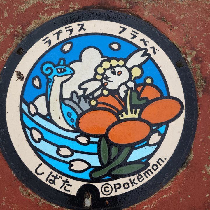 宮城県柴田のポケふた（フラベベ・ラプラス）の写真