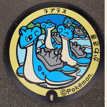 ラプラスのポケふた（宮城県川崎町）