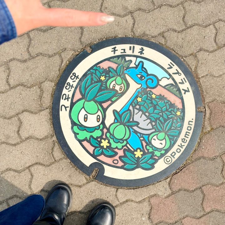 Photo of the Petilil, Lapras Poké Lid in Osato