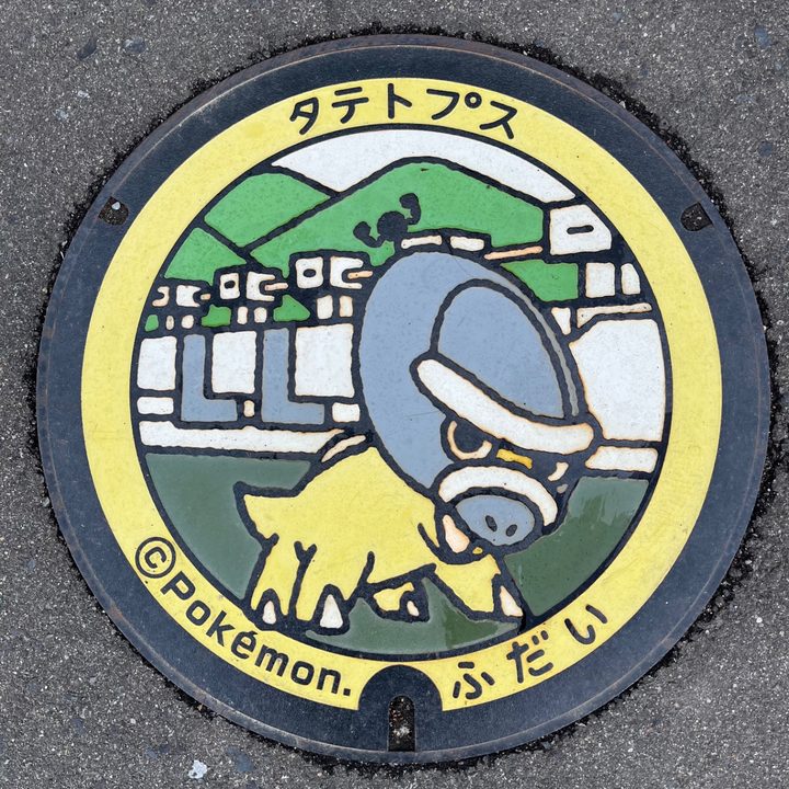 岩手県普代のポケふた（タテトプス）の写真