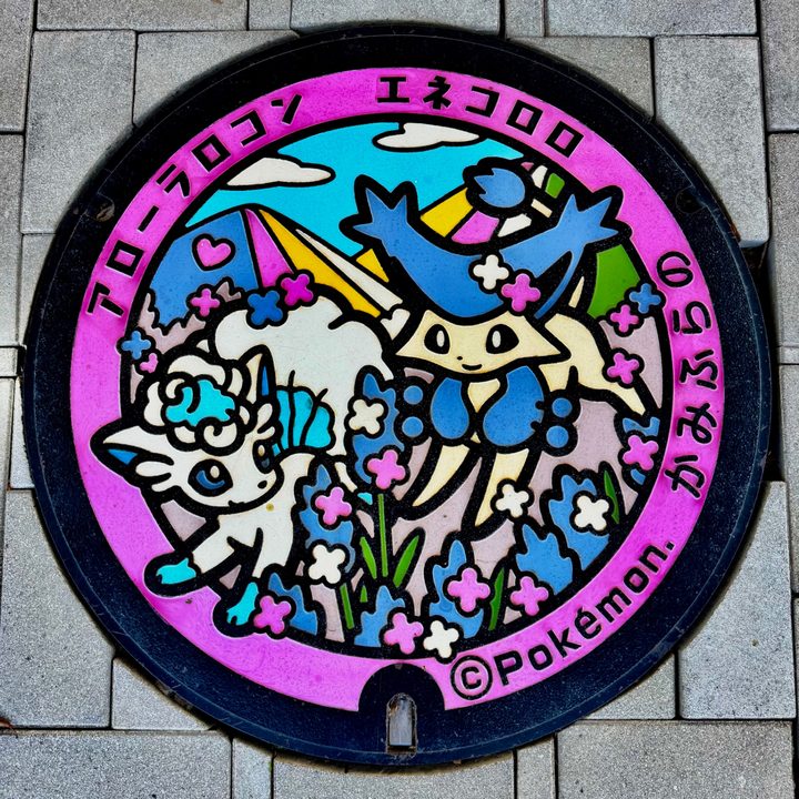 上富良野町 日の出公園のポケふた（アローラロコン・エネコロロ）の写真