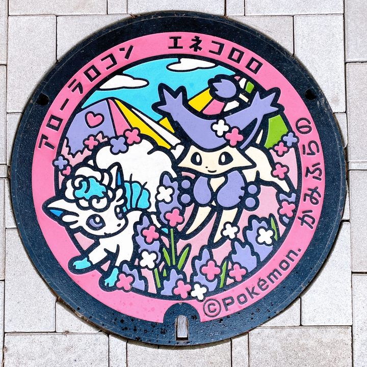 北海道上富良野のポケふた（アローラロコン・エネコロロ）の写真