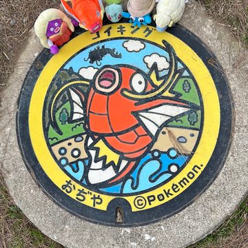 小千谷市 市役所のポケふた