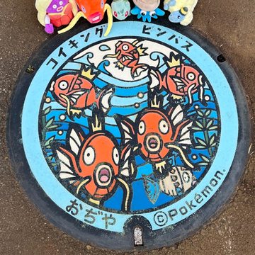小千谷市 錦鯉の里のポケふた