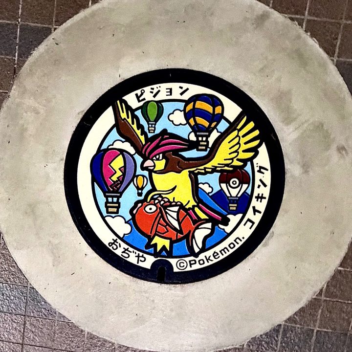 小千谷市 総合体育館のポケふた投稿写真