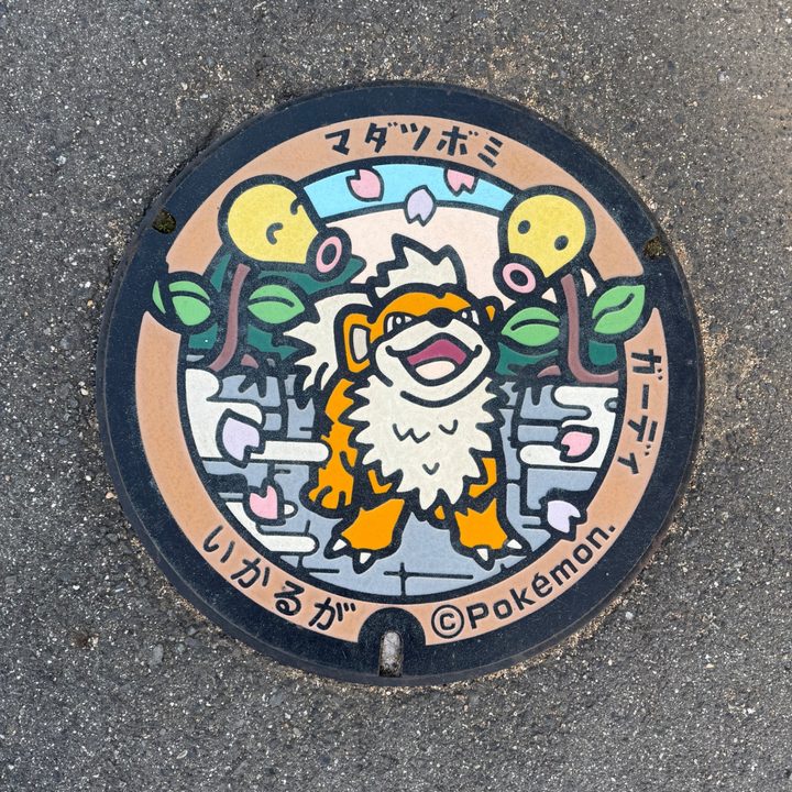 奈良県斑鳩のポケふた（ガーディ・マダツボミ）の写真