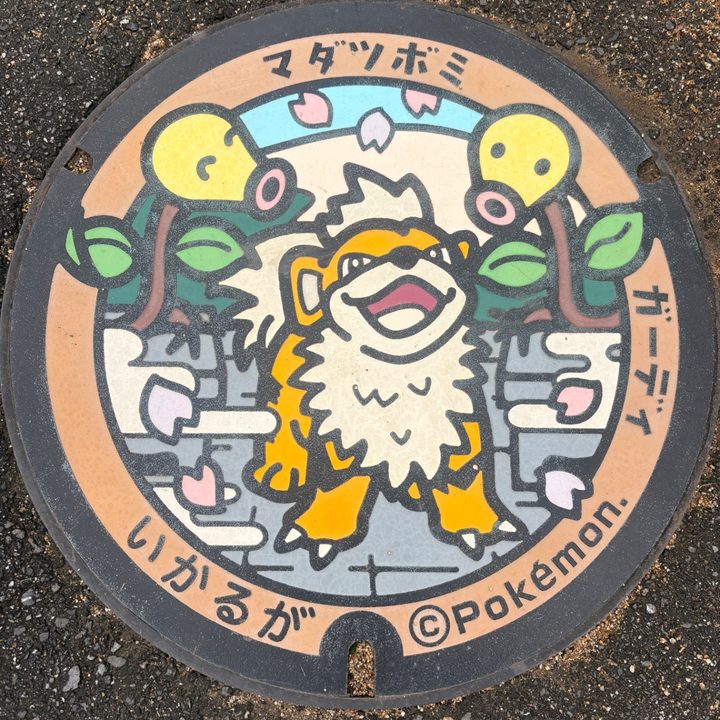 奈良県斑鳩のポケふた（ガーディ・マダツボミ）の写真
