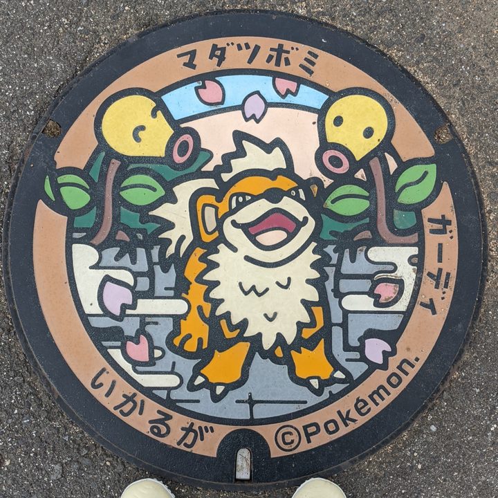 マダツボミ