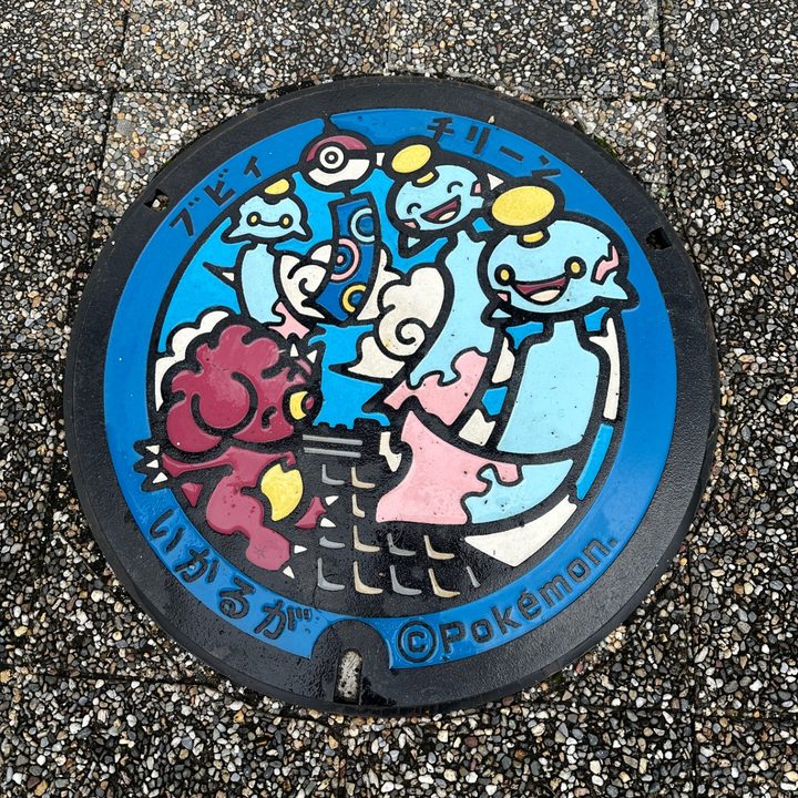 Photo of the Chimecho, Magby Poké Lid in Ikaruga