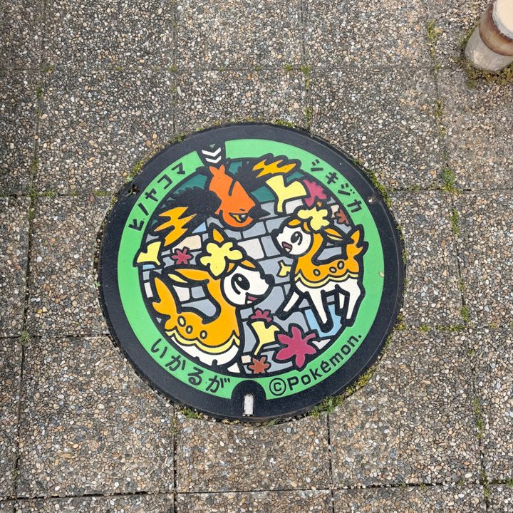 奈良県斑鳩のポケふた（シキジカ・ヒノヤコマ）の写真