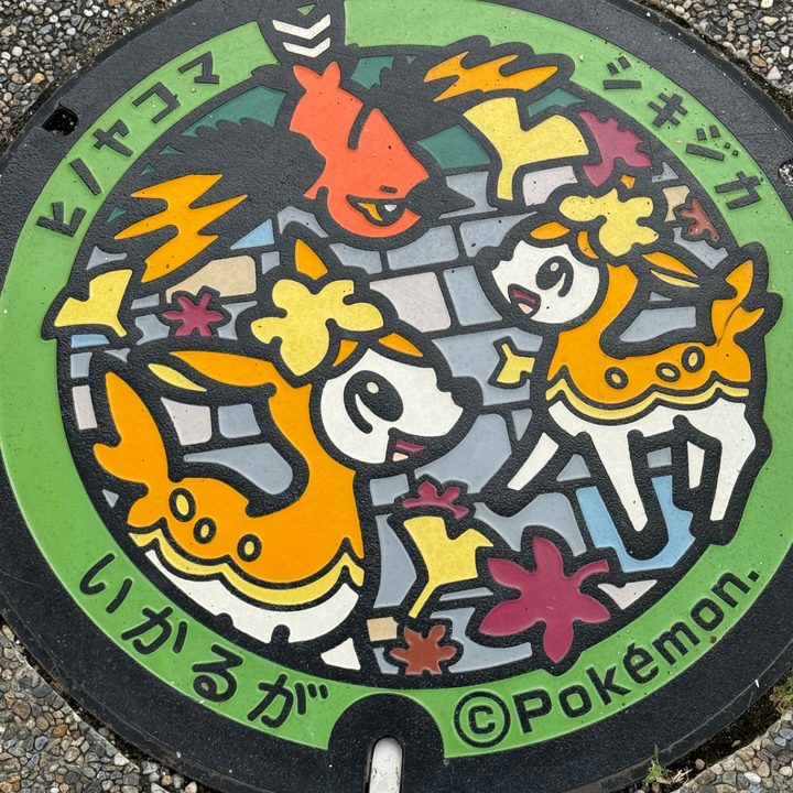 斑鳩町 ポケットパーク西側のポケふた（シキジカ・ヒノヤコマ）の写真