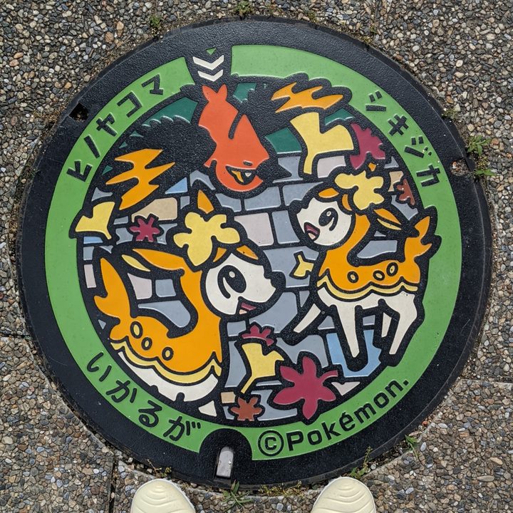 奈良県斑鳩のポケふた（シキジカ・ヒノヤコマ）の写真