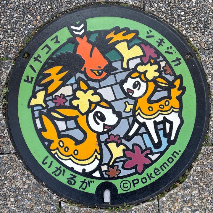 奈良県斑鳩のポケふた（シキジカ・ヒノヤコマ）の写真