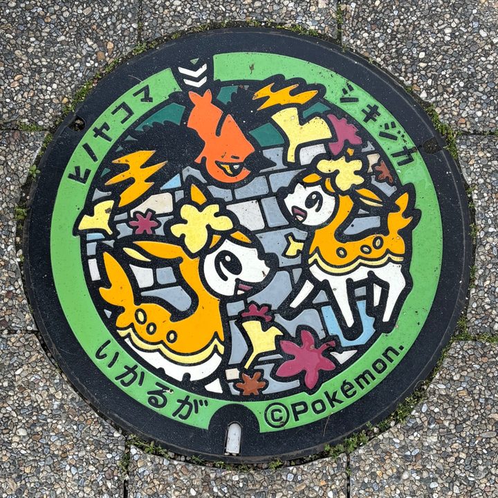 ヒノヤコマ