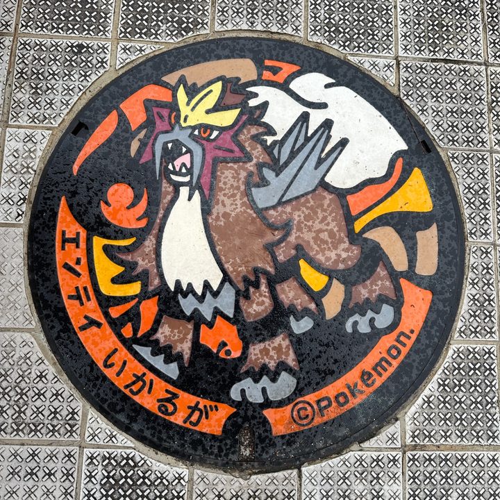 Photo of the Entei Poké Lid in Ikaruga