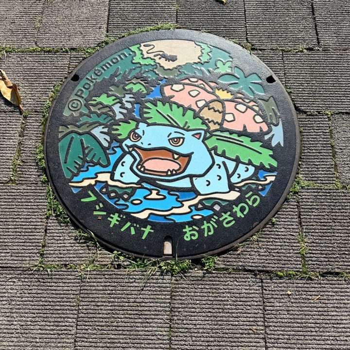 フシギバナ · 東京都 小笠原