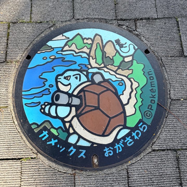 カメックスのポケふた（東京都小笠原）