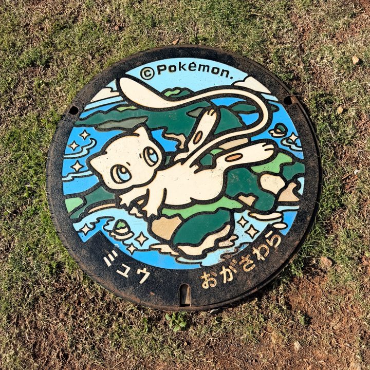 ミュウのポケふた（東京都小笠原）