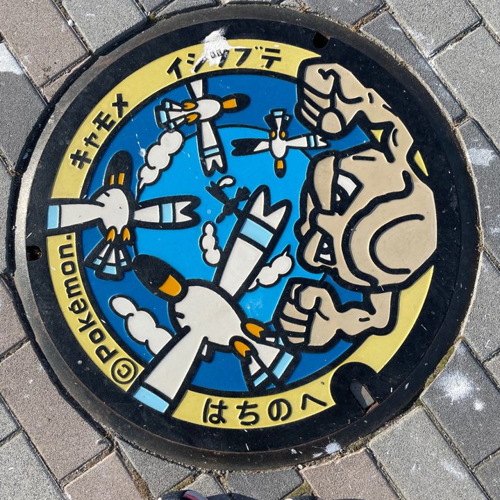 青森県八戸のポケふた（イシツブテ・キャモメ）の写真