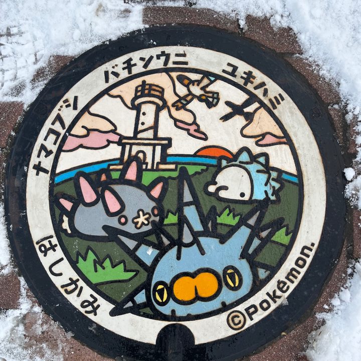青森県階上のポケふた（ナマコブシ・バチンウニ・ユキハミ）の写真