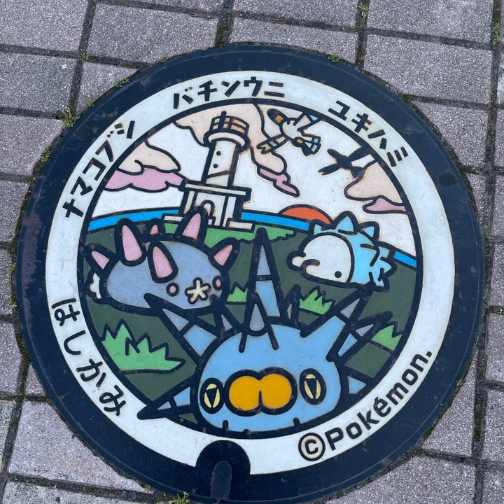 青森県階上のポケふた（ナマコブシ・バチンウニ・ユキハミ）の写真