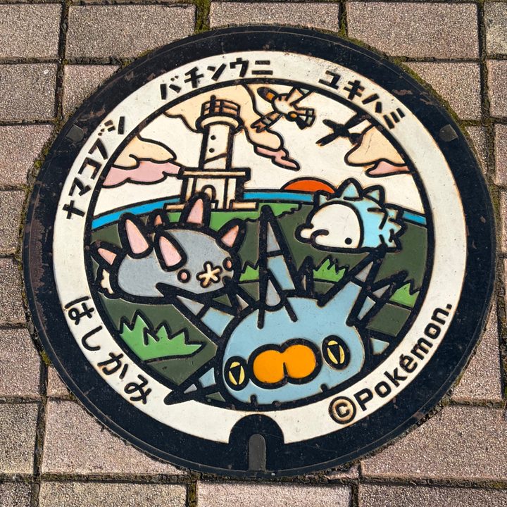 階上町 道の駅はしかみのポケふた（ナマコブシ・バチンウニ・ユキハミ）の写真