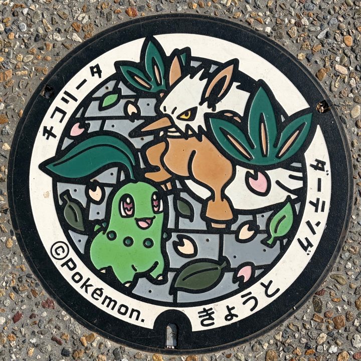 京都市 西京極総合運動公園のポケふた（ダーテング・チコリータ）の写真