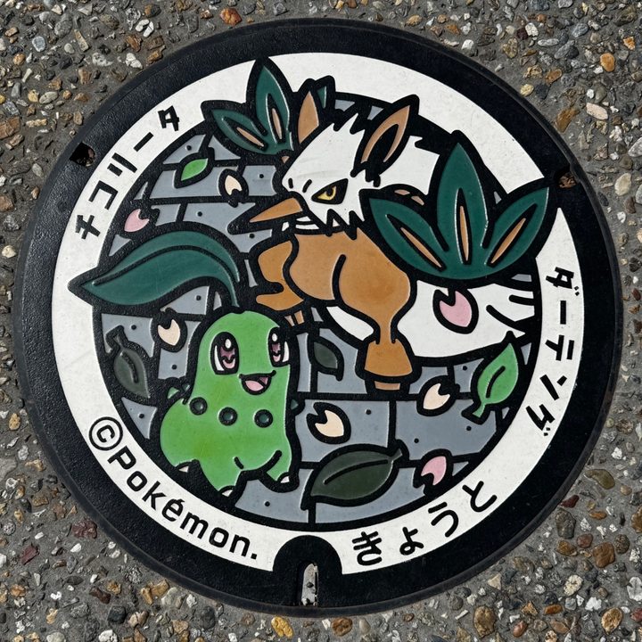 京都市 西京極総合運動公園のポケふた（ダーテング・チコリータ）の写真