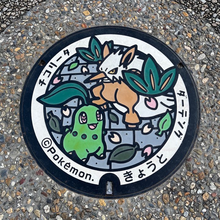 京都市 西京極総合運動公園のポケふた（ダーテング・チコリータ）の写真