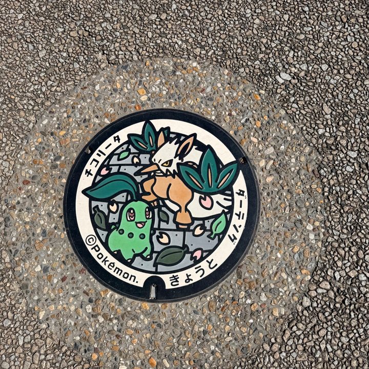 京都府京都のポケふた（ダーテング・チコリータ）の写真