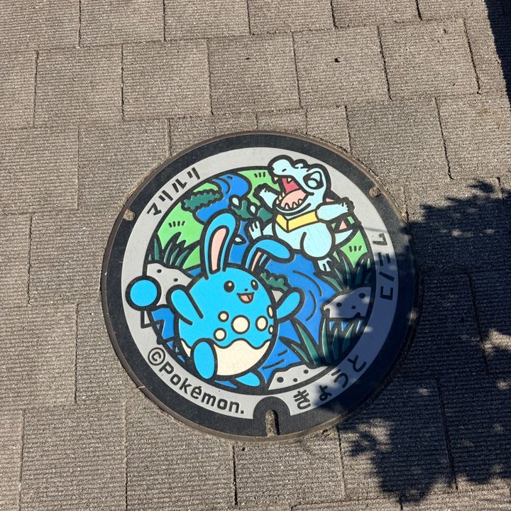 京都府京都のポケふた（マリルリ・ワニノコ）の写真